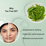 Clarifying Ayurvedic Face Wash Pore Purifying